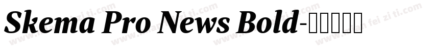 Skema Pro News Bold字体转换
